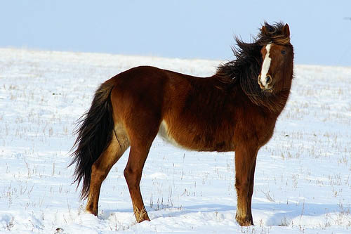 KAZAC
